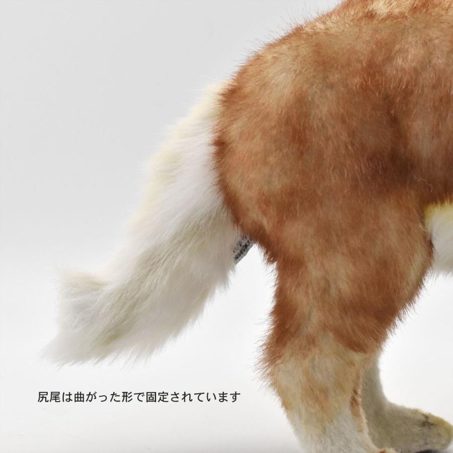 BH5207 コヨーテ HANSA　こよーて ぬいぐるみ リアル | HANSA（ぬいぐるみ） | 07