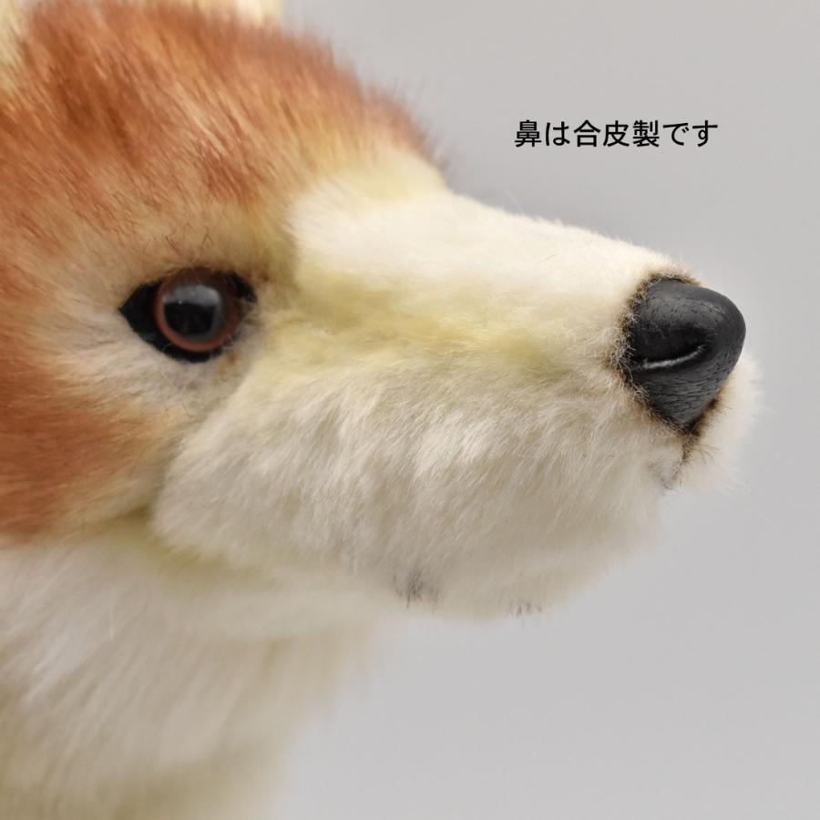 BH5207 コヨーテ HANSA　こよーて ぬいぐるみ リアル | HANSA（ぬいぐるみ） | 08