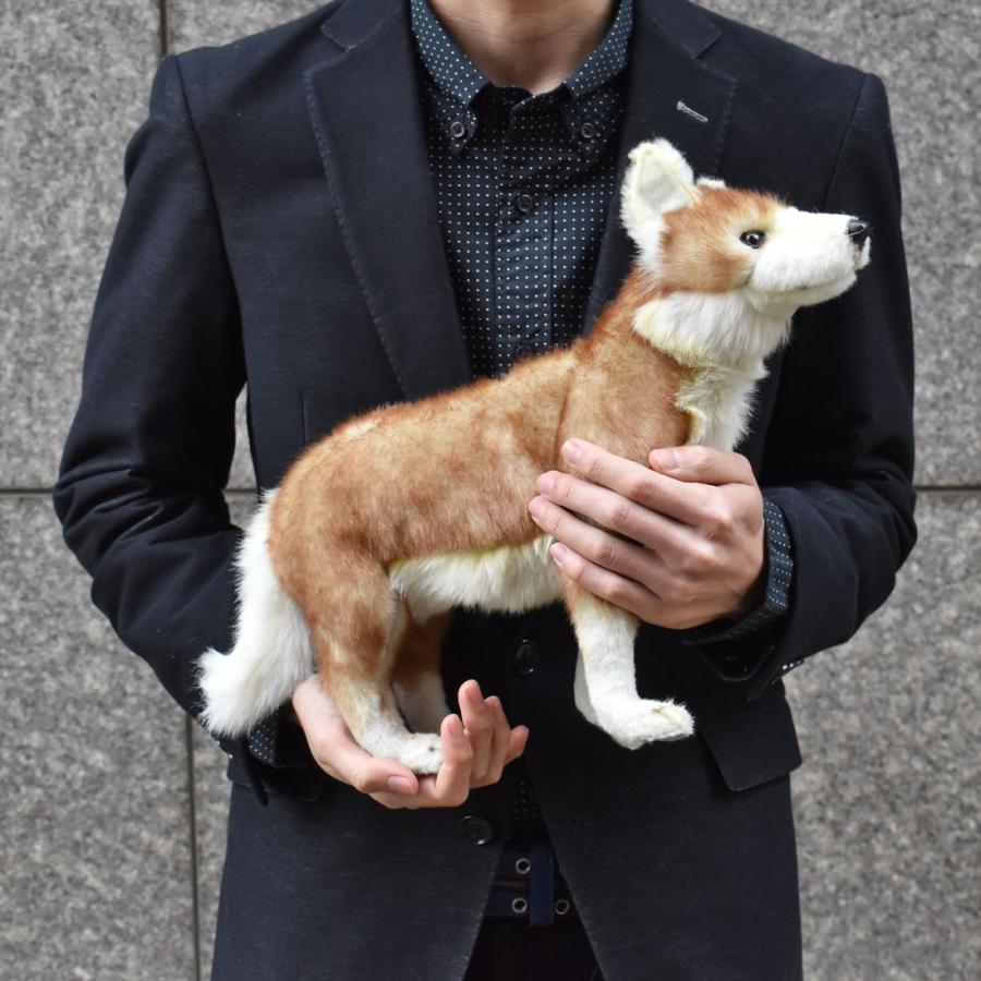 BH5207 コヨーテ HANSA　こよーて ぬいぐるみ リアル | HANSA（ぬいぐるみ） | 09