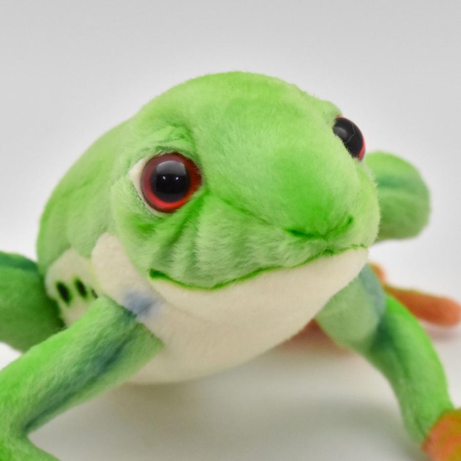 BH5218 アカメアマガエル HANSA　あかめあまがえる 赤目雨蛙 かえる ぬいぐるみ リアル | HANSA（ぬいぐるみ） | 05