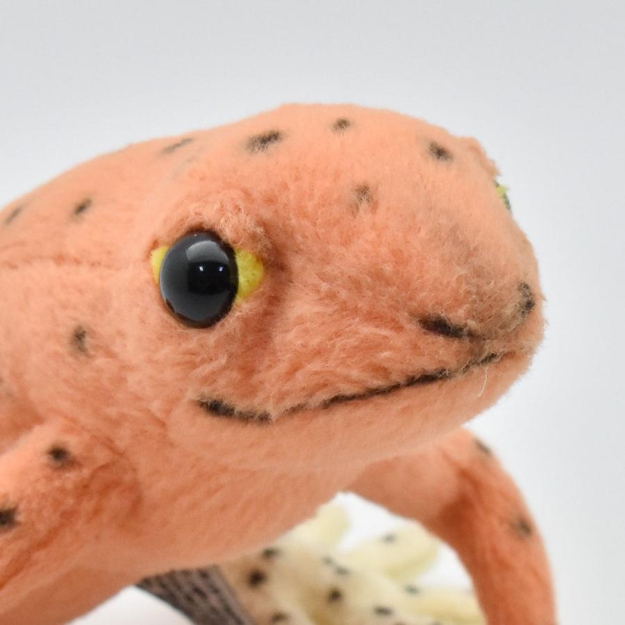 BH5221 イチゴヤドクガエル HANSA　いちごやどくがえる かえる カエル 蛙 ぬいぐるみ リアル | HANSA（ぬいぐるみ） | 05