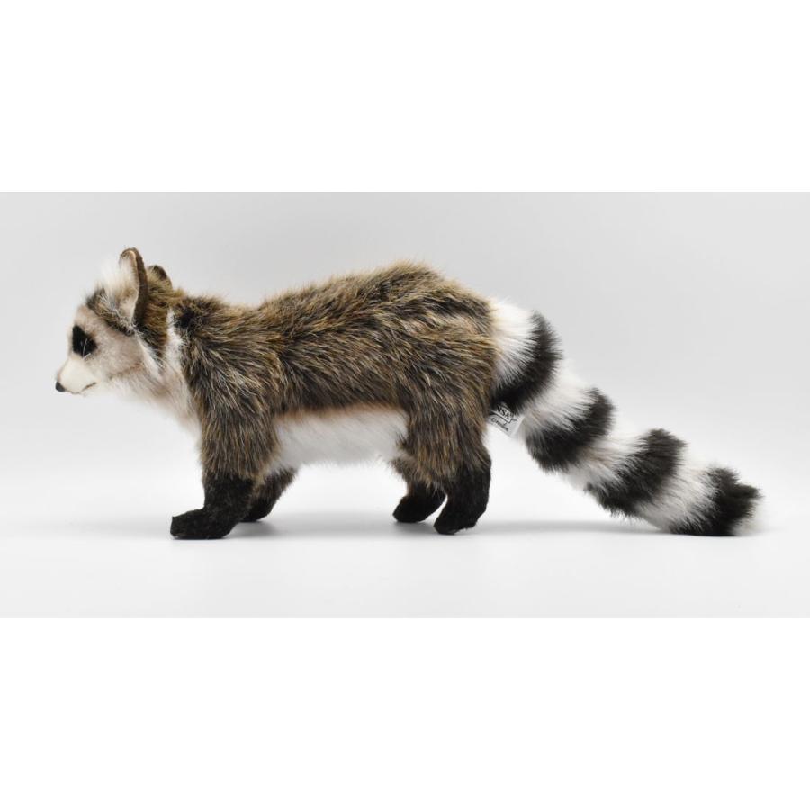 HANSA BH5238 アライグマ あらいぐま ぬいぐるみ リアル : Dear Bear