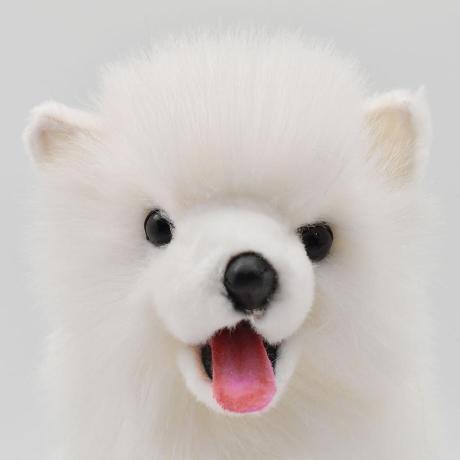 BH5267 サモエド 仔 HANSA　さもえど いぬ イヌ 犬 こども 子供 ぬいぐるみ リアル | HANSA（ぬいぐるみ） | 03