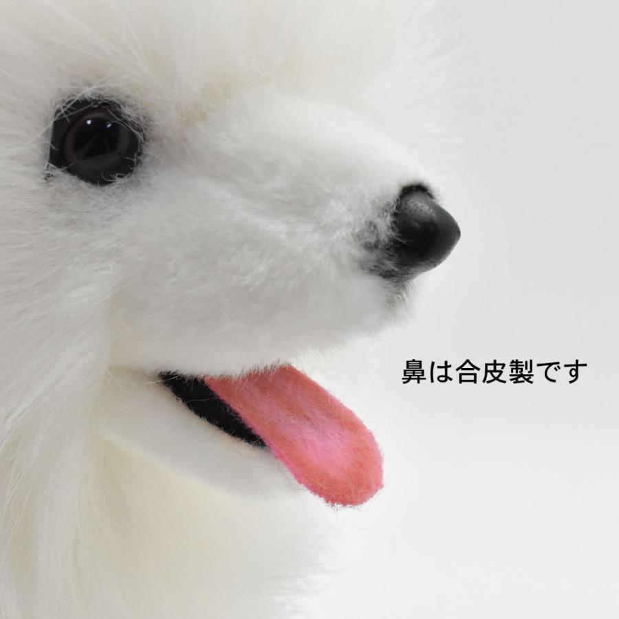 BH5267 サモエド 仔 HANSA　さもえど いぬ イヌ 犬 こども 子供 ぬいぐるみ リアル | HANSA（ぬいぐるみ） | 06