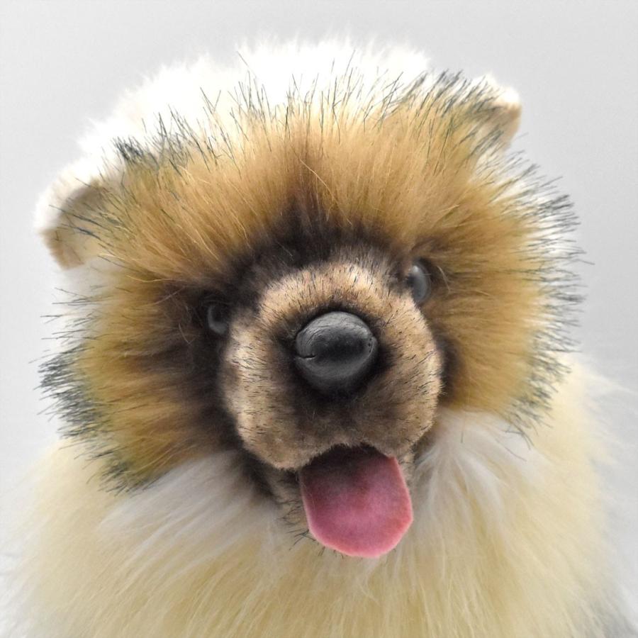 HANSA BH5268 チャウチャウ 仔 ちゃうちゃう いぬ イヌ 犬 こども 子供