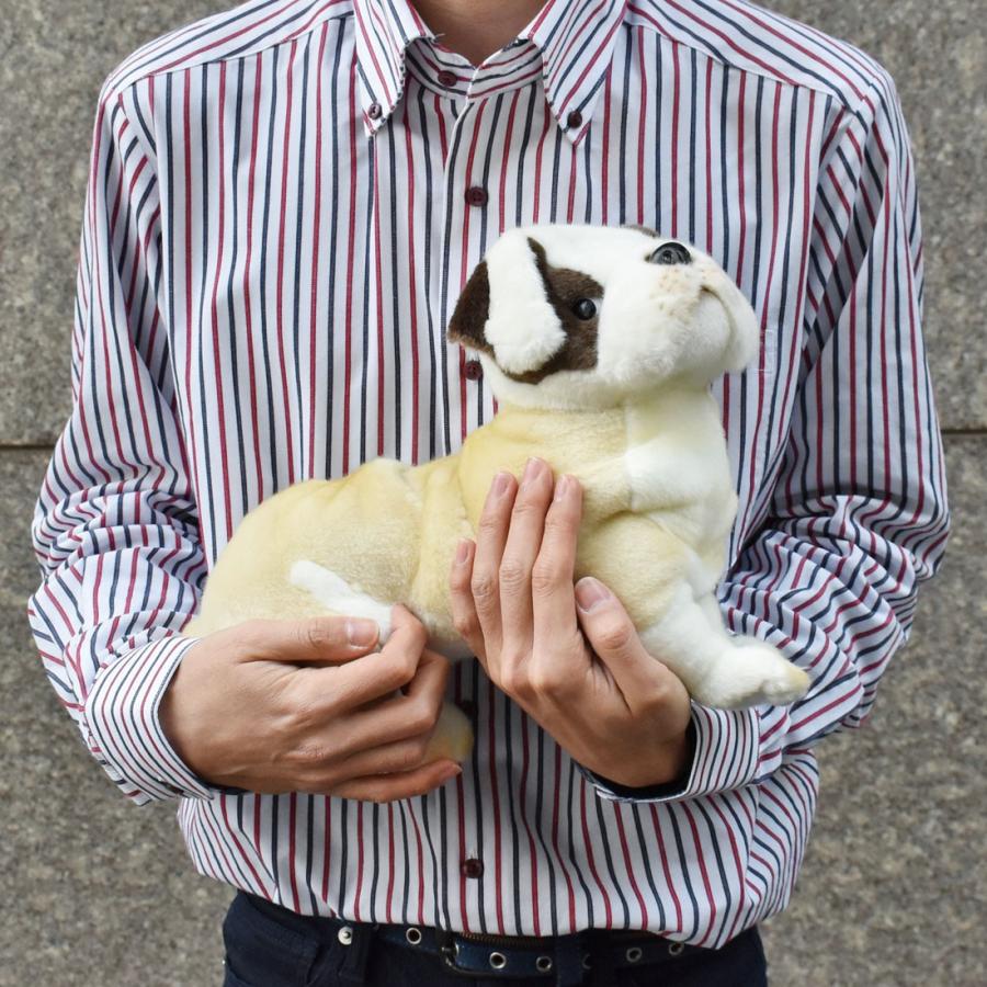 HANSA BH5271 ブルドッグ ぶるどっぐ いぬ イヌ 犬 ぬいぐるみ リアル
