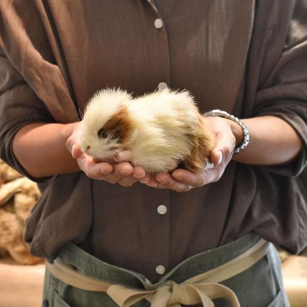 HANSA BH5300 テンジクネズミ てんじくねずみ 天竺鼠 ぬいぐるみ