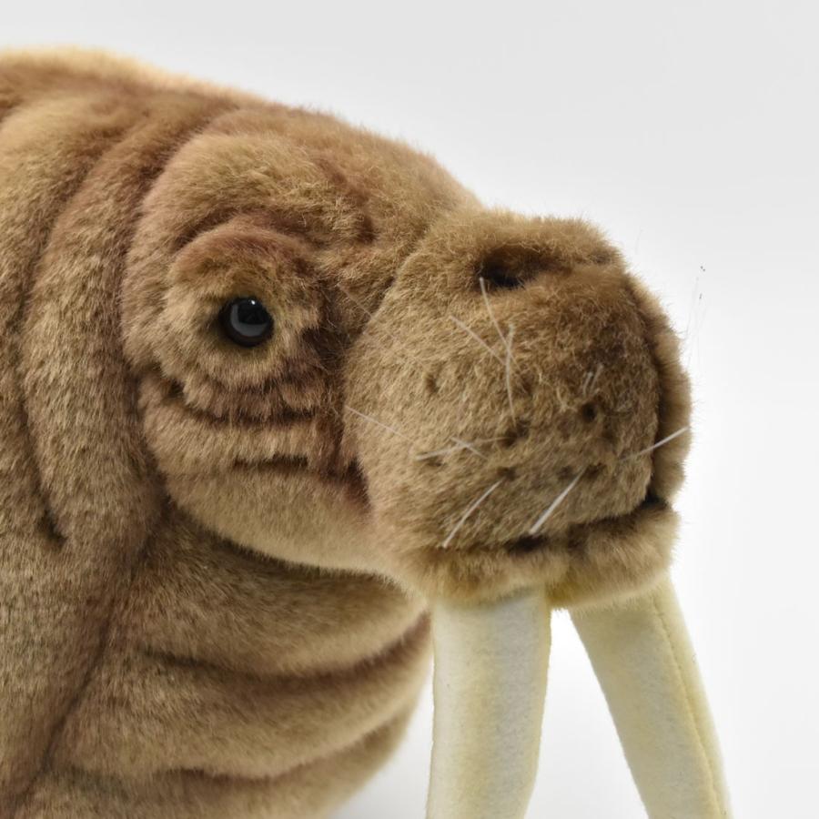 BH5327 セイウチ HANSA　せいうち 海象 ぬいぐるみ リアル | HANSA（ぬいぐるみ） | 03