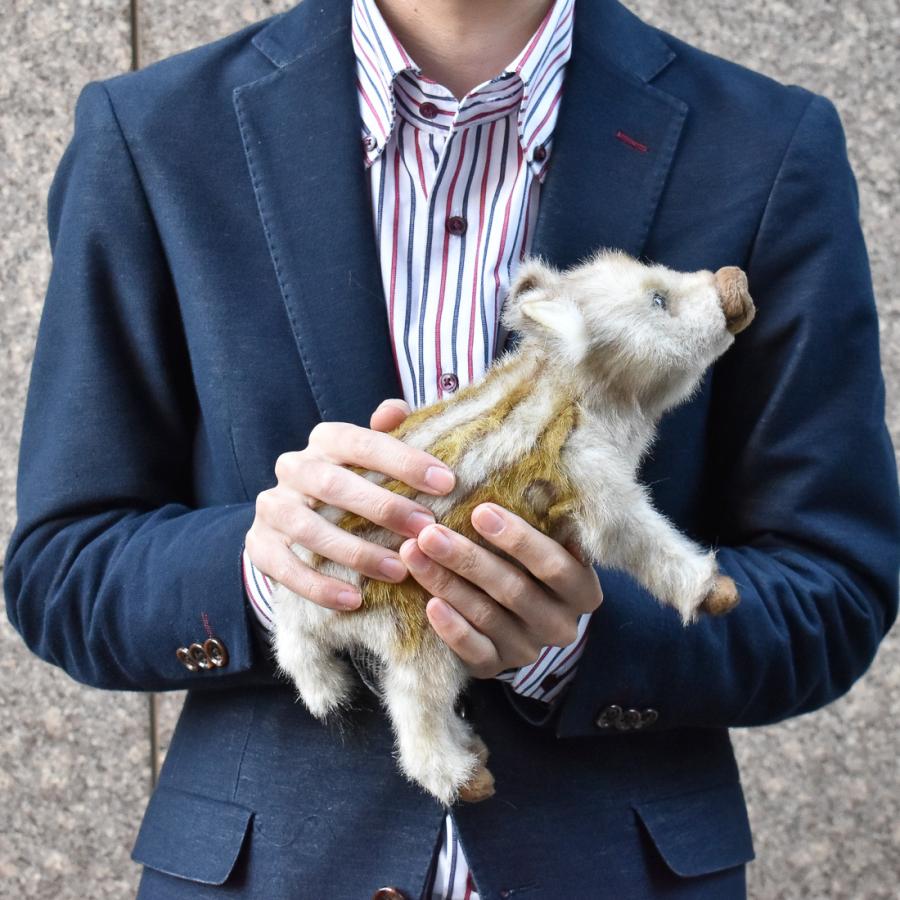 BH5341 イノシシ 仔 HANSA　いのしし 猪 こども 子供 ぬいぐるみ リアル | HANSA（ぬいぐるみ） | 07