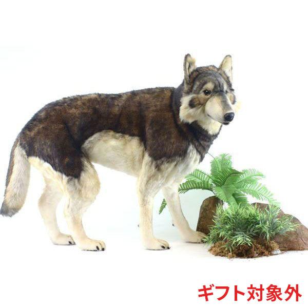 BH5496 シンリンオオカミ HANSA　おおかみ 狼 ぬいぐるみ リアル | HANSA（ぬいぐるみ）