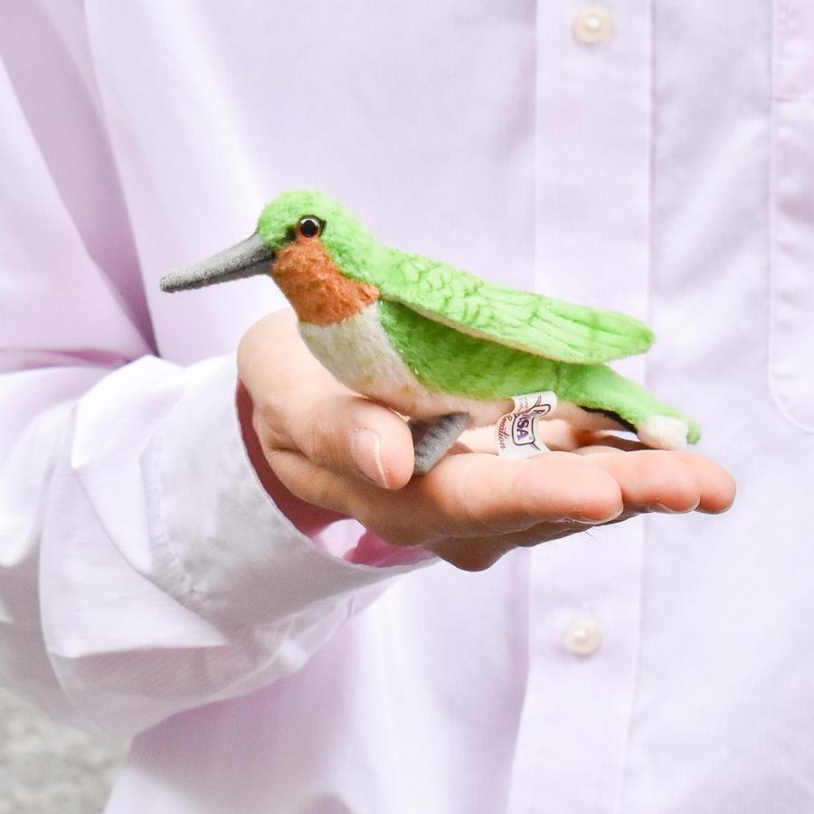 BH5520 ハチドリ HANSA　はちどり 蜂鳥 とり トリ 鳥 ぬいぐるみ リアル | HANSA（ぬいぐるみ） | 08