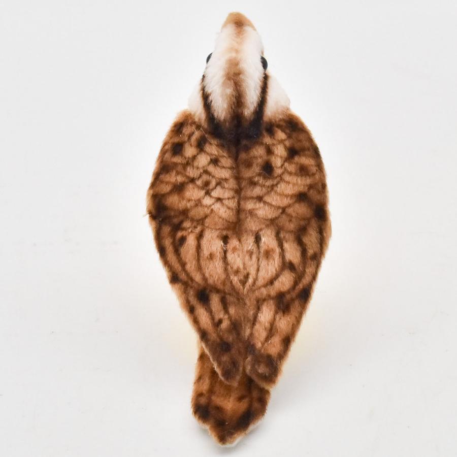 HANSA BH5521 キヅタアメリカムシクイ きづたあめりかむしくい とり