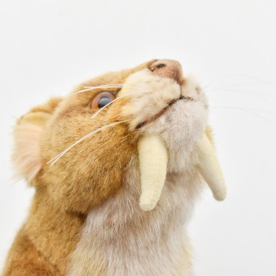 BH5564 サーベルタイガー HANSA　さーべるたいがー 絶滅 ぜつめつ ぬいぐるみ リアル | HANSA（ぬいぐるみ） | 06