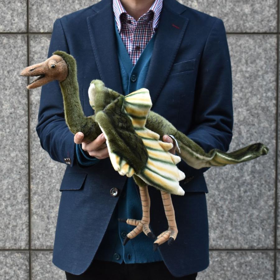 HANSA BH5567 シソチョウ しそちょう 始祖鳥 とり トリ 絶滅 ぜつめつ