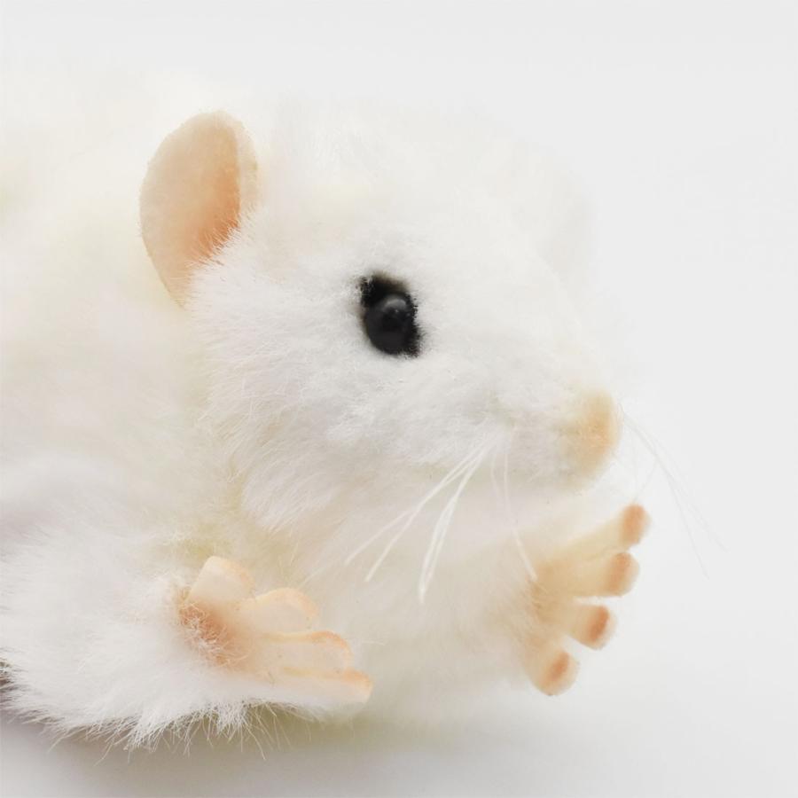 ねずみ 強力ねずみとり（ハウス型） -100均 通販 ダイソーオンライン