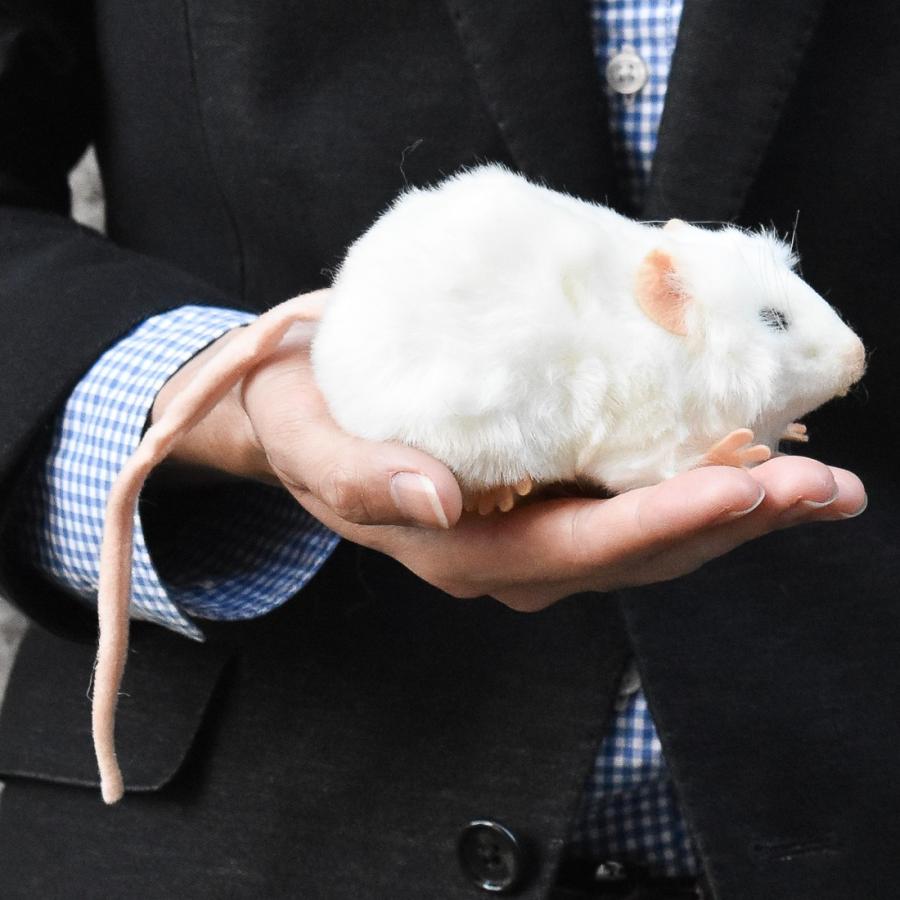 BH5576 シロネズミ HANSA　しろねずみ 白鼠 ぬいぐるみ リアル | HANSA（ぬいぐるみ） | 07