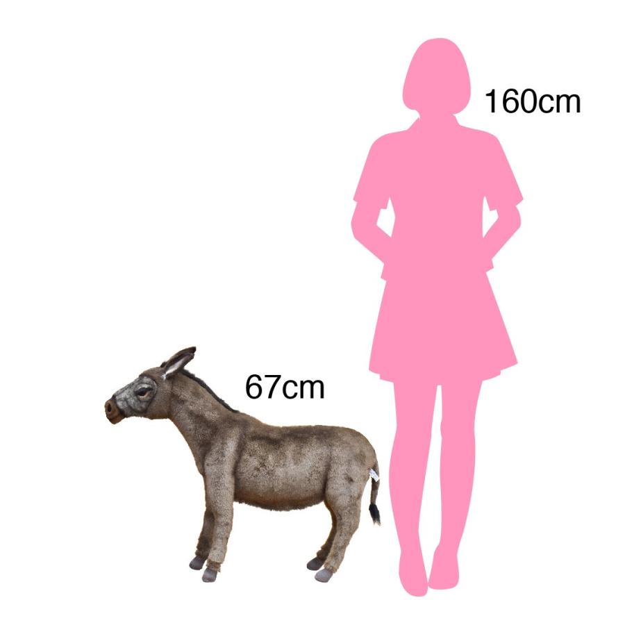 BH5603 ロバ HANSA　ろば ぬいぐるみ リアル | HANSA（ぬいぐるみ） | 05