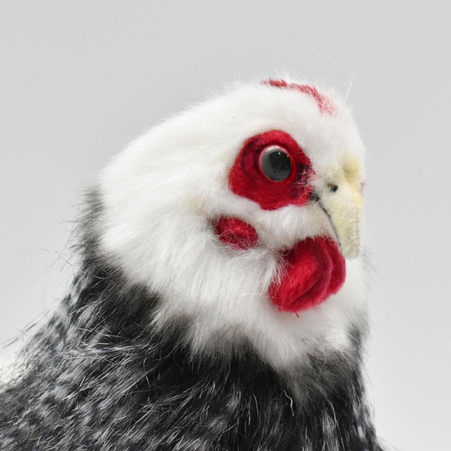 BH5620 フランスメンドリ HANSA　ふらんすめんどり 雌鳥 ぬいぐるみ リアル | HANSA（ぬいぐるみ） | 03