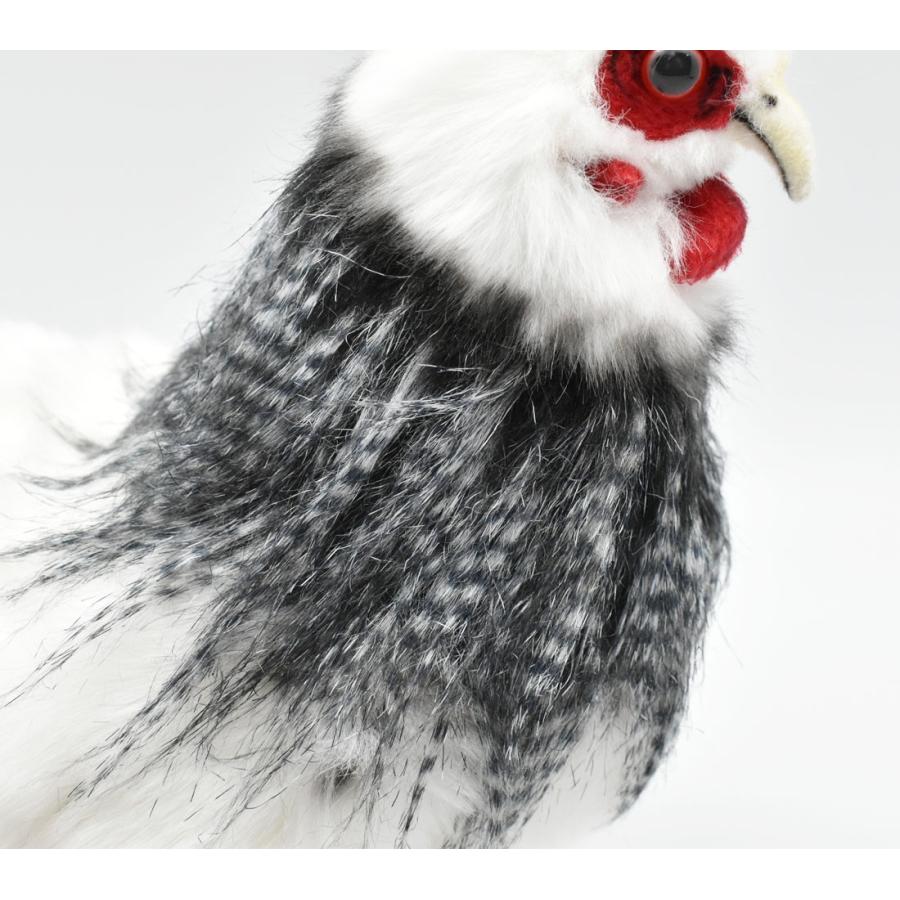 BH5620 フランスメンドリ HANSA　ふらんすめんどり 雌鳥 ぬいぐるみ リアル | HANSA（ぬいぐるみ） | 04