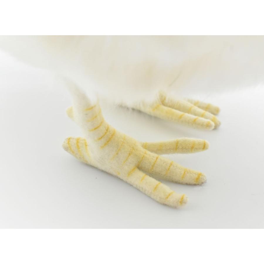 BH5620 フランスメンドリ HANSA　ふらんすめんどり 雌鳥 ぬいぐるみ リアル | HANSA（ぬいぐるみ） | 05