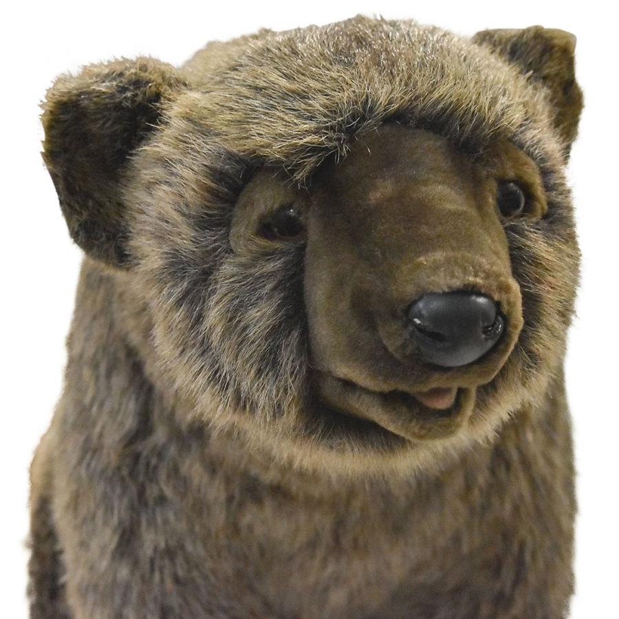 BH5627 ハイイログマ 仔 HANSA　はいいろぐま くま 熊 こども 子供 ぬいぐるみ リアル | HANSA（ぬいぐるみ） | 03