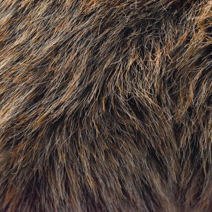 BH5627 ハイイログマ 仔 HANSA　はいいろぐま くま 熊 こども 子供 ぬいぐるみ リアル | HANSA（ぬいぐるみ） | 04