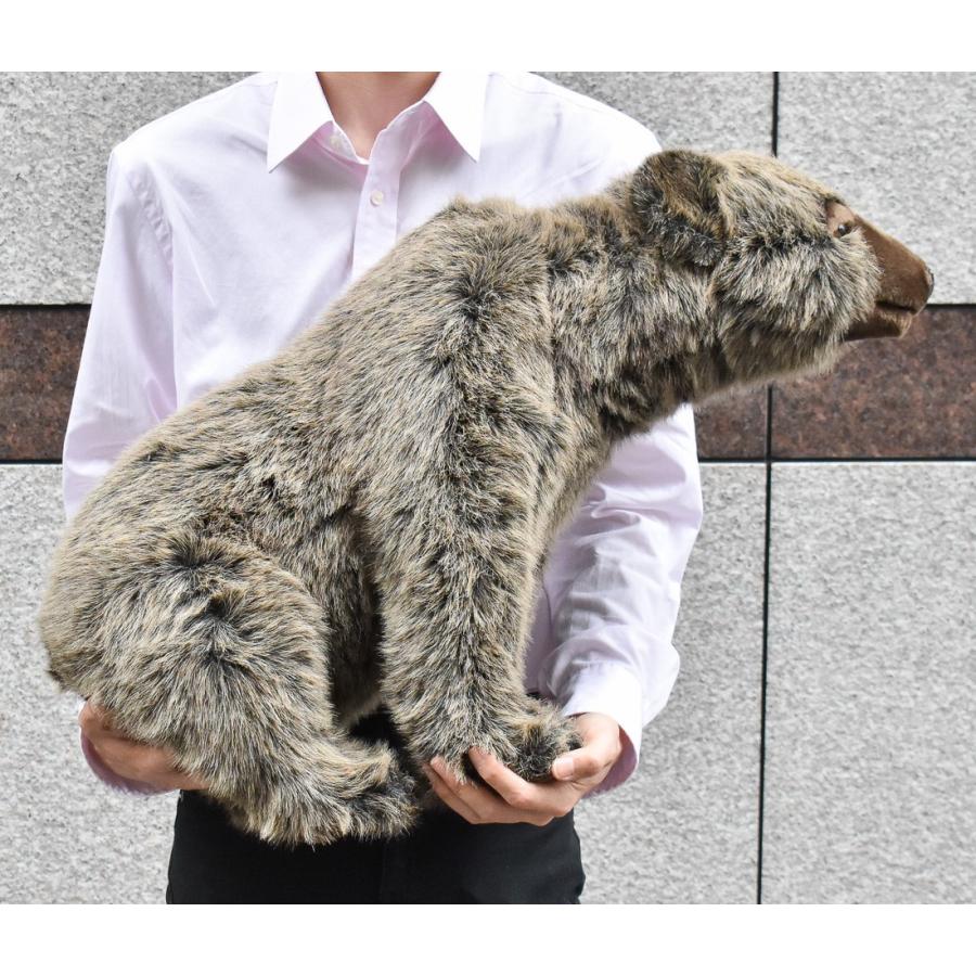 BH5627 ハイイログマ 仔 HANSA　はいいろぐま くま 熊 こども 子供 ぬいぐるみ リアル | HANSA（ぬいぐるみ） | 07