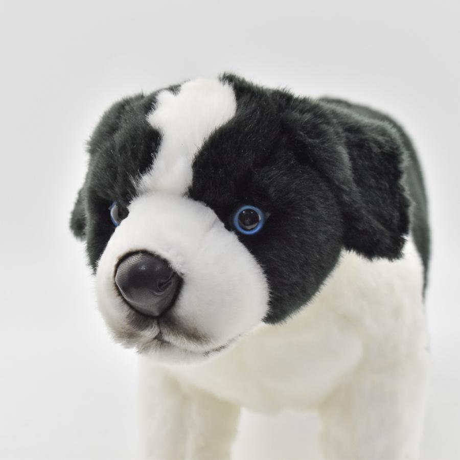 BH5663 ボーダーコリー 仔 HANSA　ぼーだーこりー いぬ イヌ 犬 こども 子供 ぬいぐるみ リアル | HANSA（ぬいぐるみ） | 03