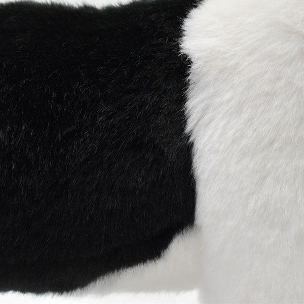 BH5663 ボーダーコリー 仔 HANSA　ぼーだーこりー いぬ イヌ 犬 こども 子供 ぬいぐるみ リアル | HANSA（ぬいぐるみ） | 04