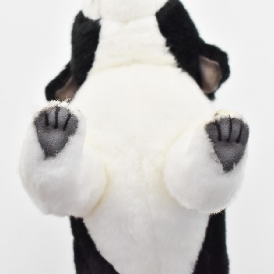 BH5663 ボーダーコリー 仔 HANSA　ぼーだーこりー いぬ イヌ 犬 こども 子供 ぬいぐるみ リアル | HANSA（ぬいぐるみ） | 05