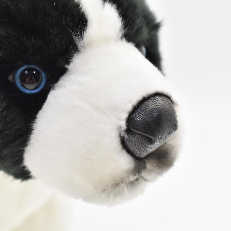 BH5663 ボーダーコリー 仔 HANSA　ぼーだーこりー いぬ イヌ 犬 こども 子供 ぬいぐるみ リアル | HANSA（ぬいぐるみ） | 06
