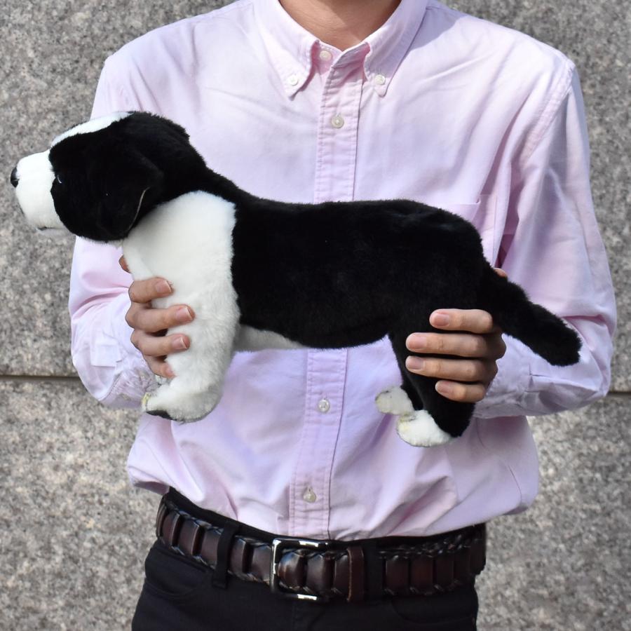 BH5663 ボーダーコリー 仔 HANSA　ぼーだーこりー いぬ イヌ 犬 こども 子供 ぬいぐるみ リアル | HANSA（ぬいぐるみ） | 07