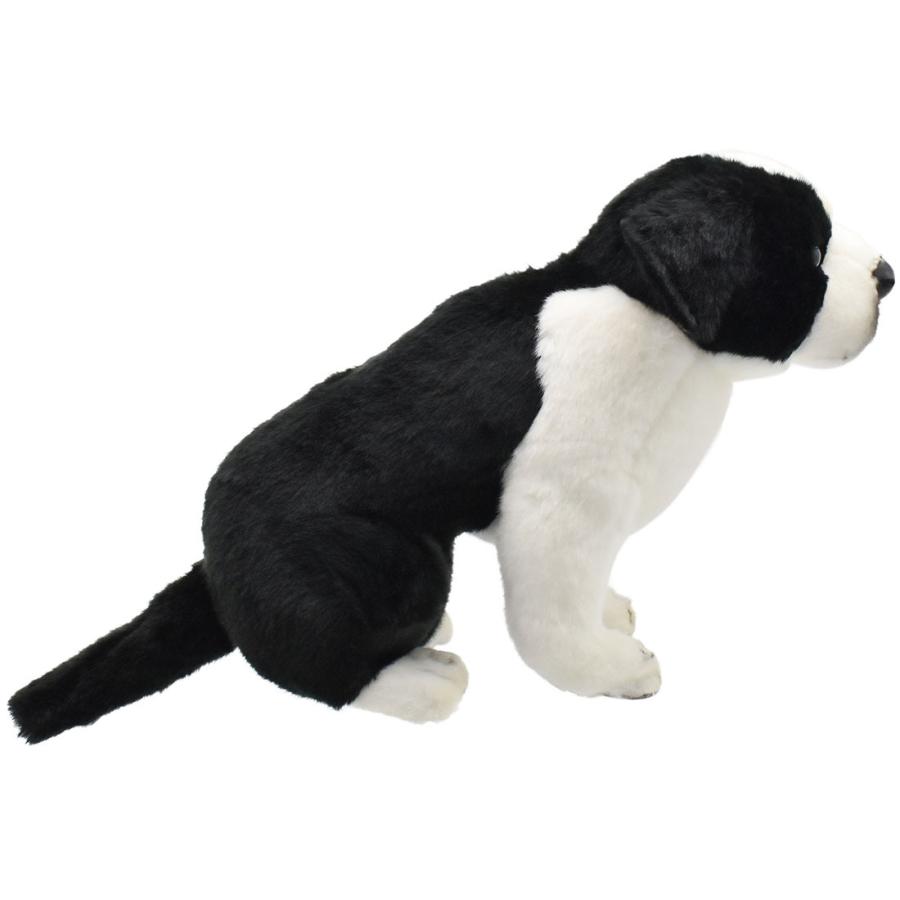 BH5664 ボーダーコリー 仔 HANSA　ぼーだーこりー いぬ イヌ 犬 こども 子供 ぬいぐるみ リアル | HANSA（ぬいぐるみ） | 01