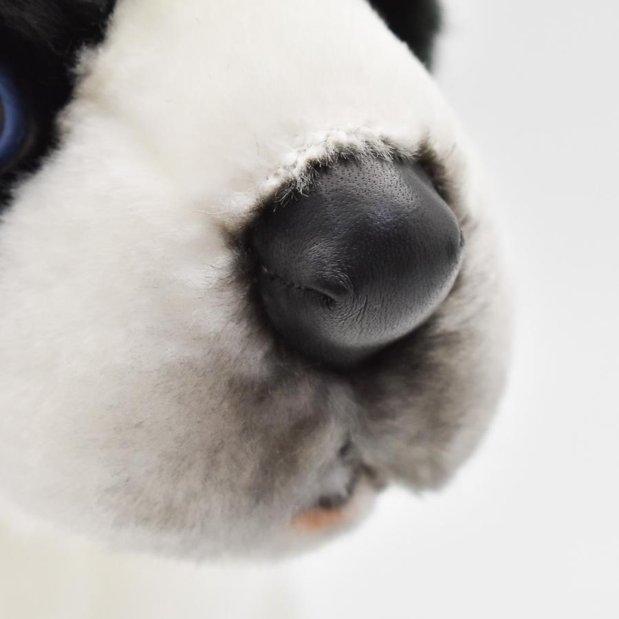 BH5664 ボーダーコリー 仔 HANSA　ぼーだーこりー いぬ イヌ 犬 こども 子供 ぬいぐるみ リアル | HANSA（ぬいぐるみ） | 06