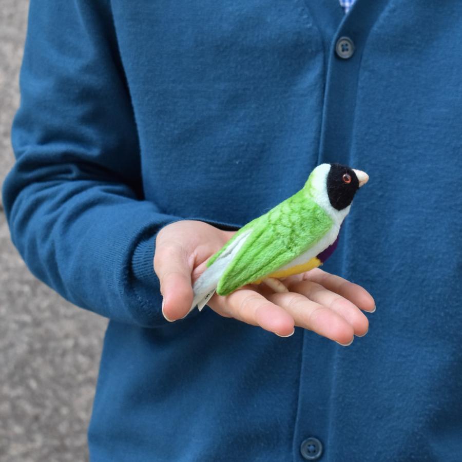 BH5694 クロコキンチョウ HANSA　くろこきんんちょう とり トリ 鳥 ぬいぐるみ リアル | HANSA（ぬいぐるみ） | 08