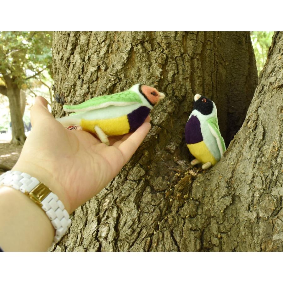 BH5694 クロコキンチョウ HANSA　くろこきんんちょう とり トリ 鳥 ぬいぐるみ リアル | HANSA（ぬいぐるみ） | 09