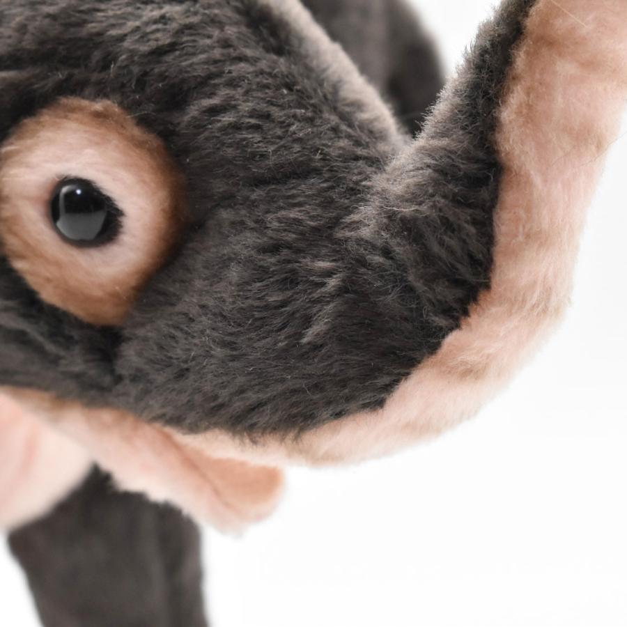 BH5698 ゾウ 仔 HANSA　ぞう 象 こども 子供 ぬいぐるみ リアル | HANSA（ぬいぐるみ） | 04