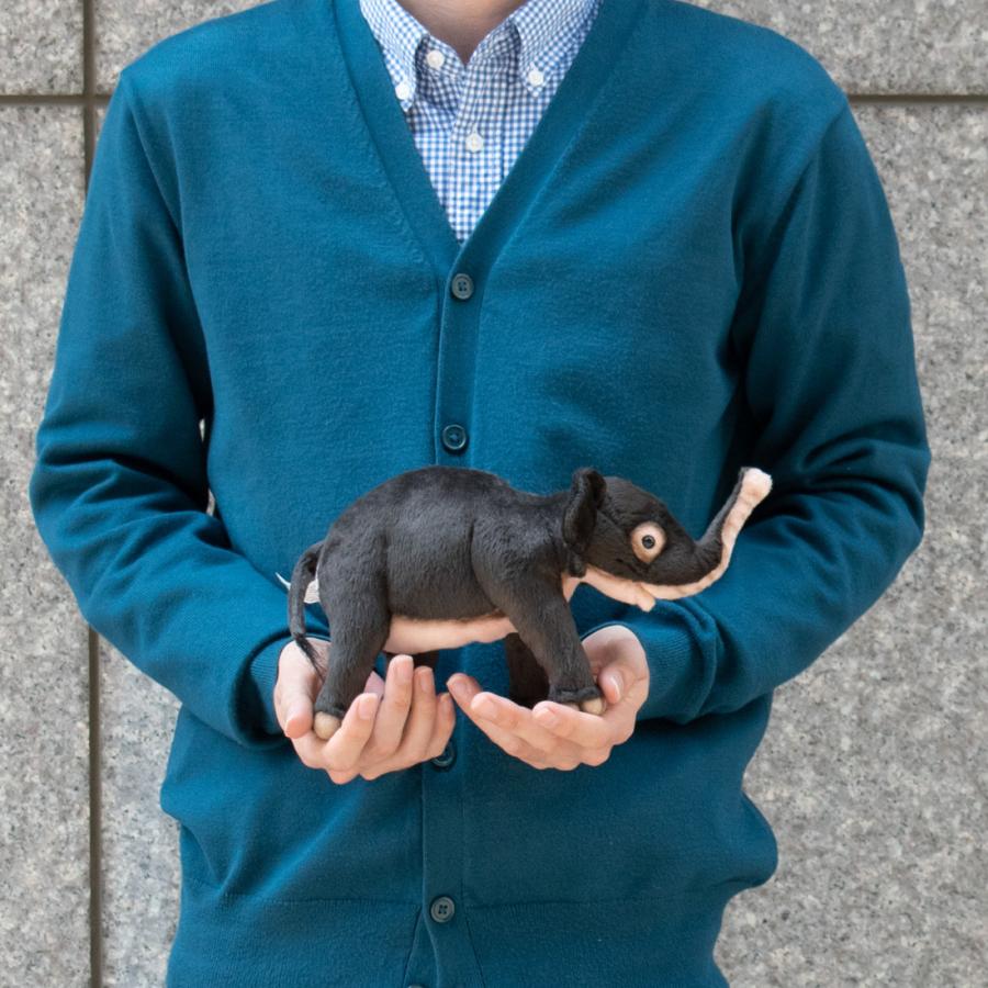 BH5698 ゾウ 仔 HANSA　ぞう 象 こども 子供 ぬいぐるみ リアル | HANSA（ぬいぐるみ） | 08
