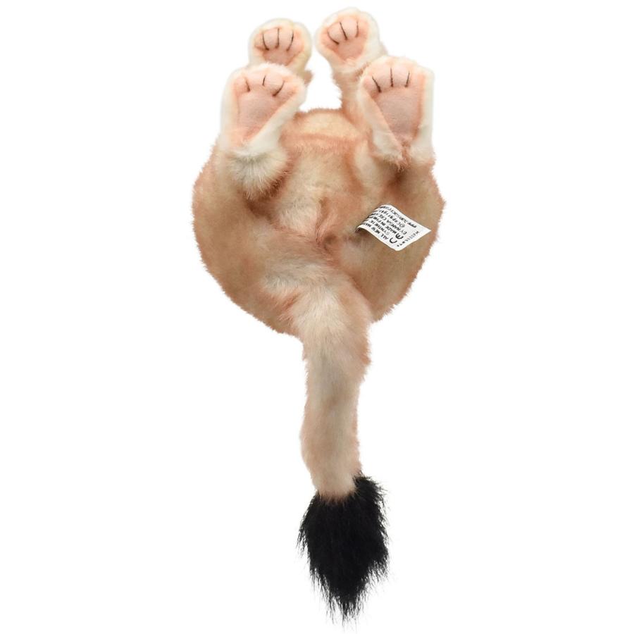 BH5729 ニホンイタチ HANSA　いたち 鼬 ぬいぐるみ リアル | HANSA（ぬいぐるみ） | 05