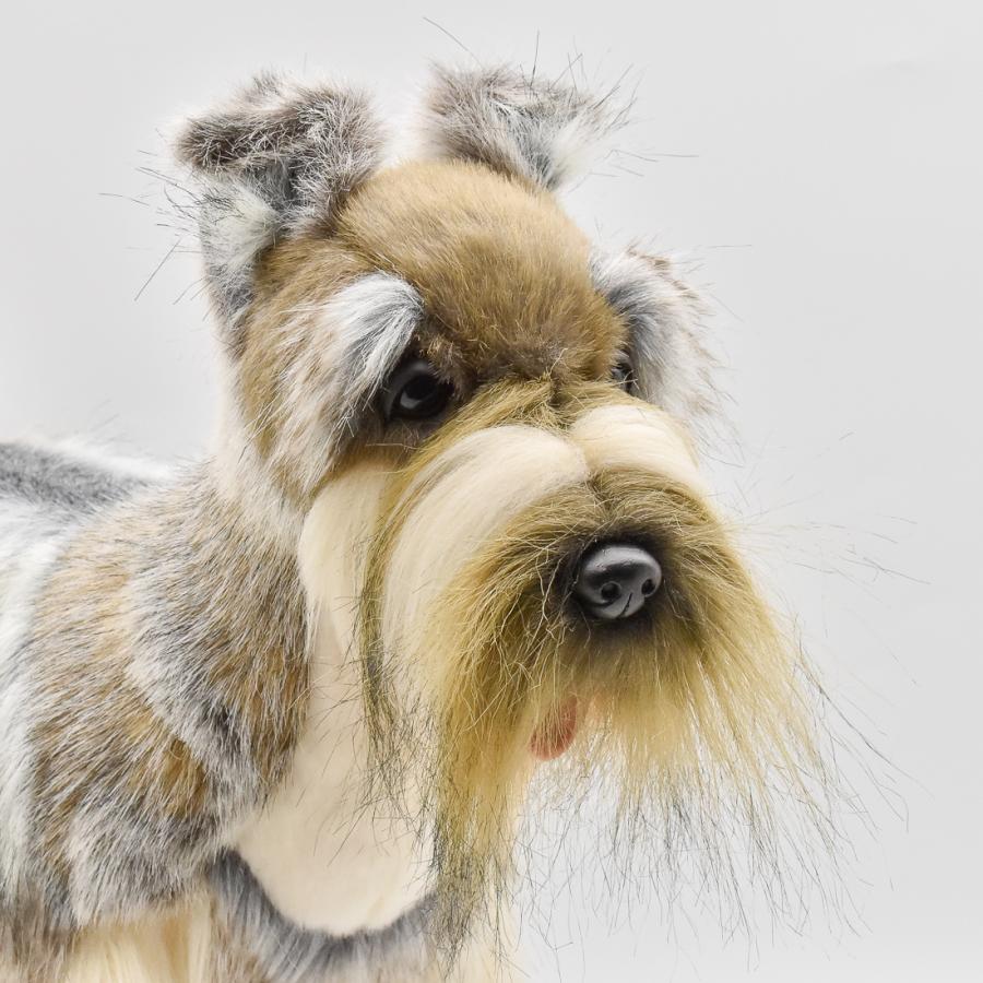 BH5767 ミニチュアシュナウザー グレー HANSA　みにちゅあしゅなうざー いぬ イヌ 犬 ぬいぐるみ リアル | HANSA（ぬいぐるみ） | 03