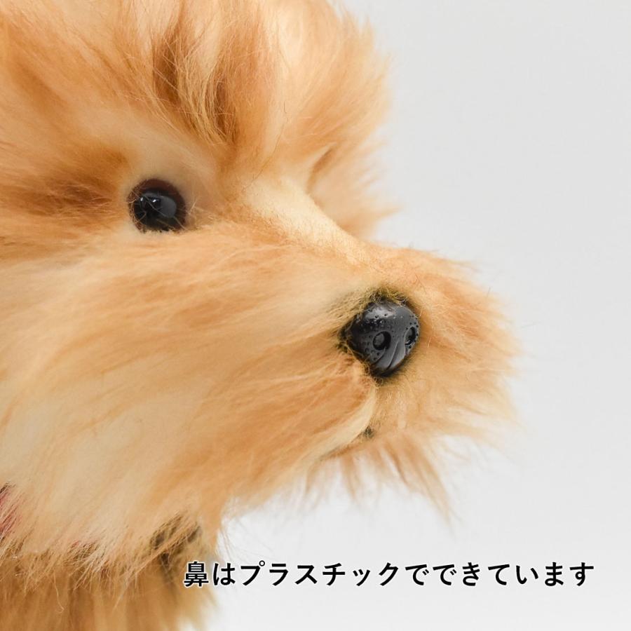 HANSA BH5900 ヨークシャーテリア よーくしゃーてりあ いぬ イヌ 犬