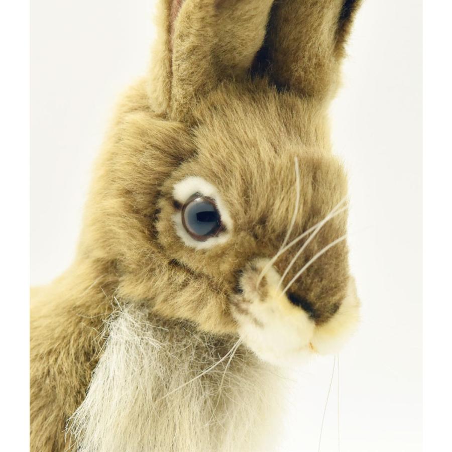 HANSA BH5911 ジャックラビット じゃっくらびっと うさぎ 兎