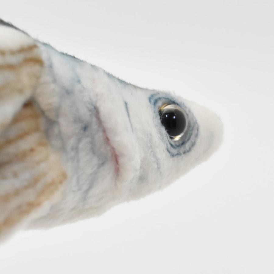 BH6049 トビウオ HANSA　とびうお 飛び魚 さかな サカナ ぬいぐるみ リアル | HANSA（ぬいぐるみ） | 06