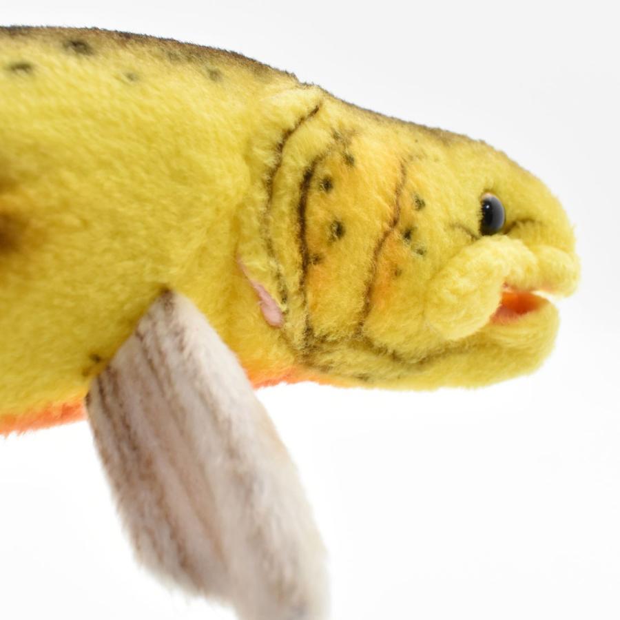 BH6050 キンイロマス HANSA　きんいろます 金色鱒 さかな 魚 ぬいぐるみ リアル | HANSA（ぬいぐるみ） | 05