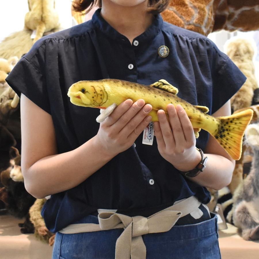 BH6050 キンイロマス HANSA　きんいろます 金色鱒 さかな 魚 ぬいぐるみ リアル | HANSA（ぬいぐるみ） | 07