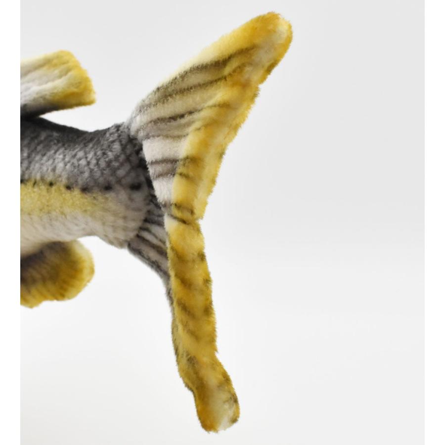 BH6052 シーバス HANSA　しーばす さかな サカナ 魚 ぬいぐるみ リアル | HANSA（ぬいぐるみ） | 05