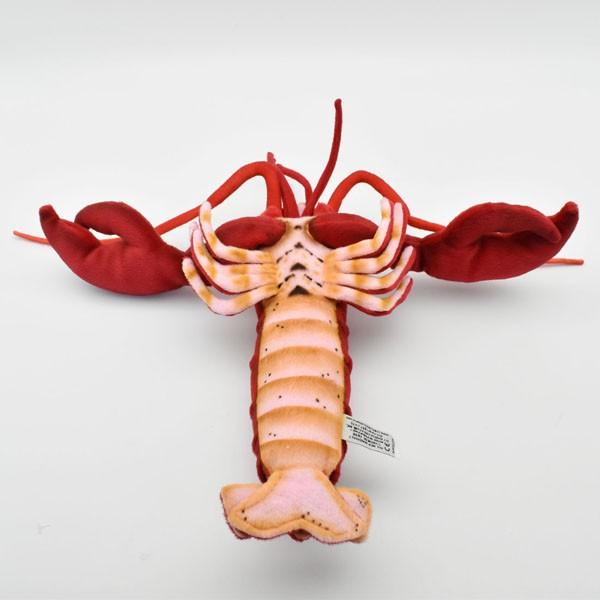 BH6093 ロブスター HANSA　ろぶすたー ざりがに ザリガニ ぬいぐるみ リアル | HANSA（ぬいぐるみ） | 06