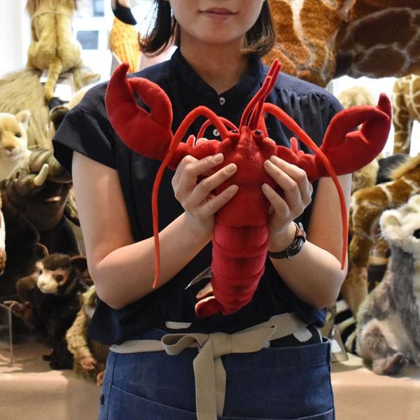 BH6093 ロブスター HANSA　ろぶすたー ざりがに ザリガニ ぬいぐるみ リアル | HANSA（ぬいぐるみ） | 07