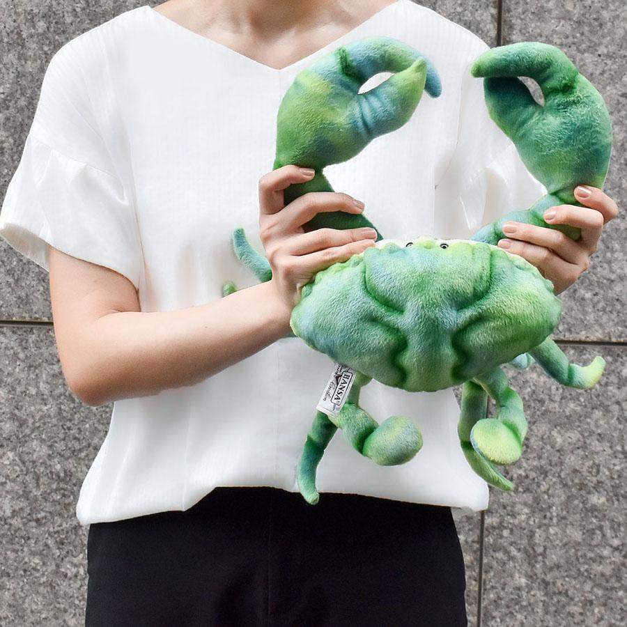 HANSA（ぬいぐるみ） BH6095 ノコギリガザミ グリーン HANSA