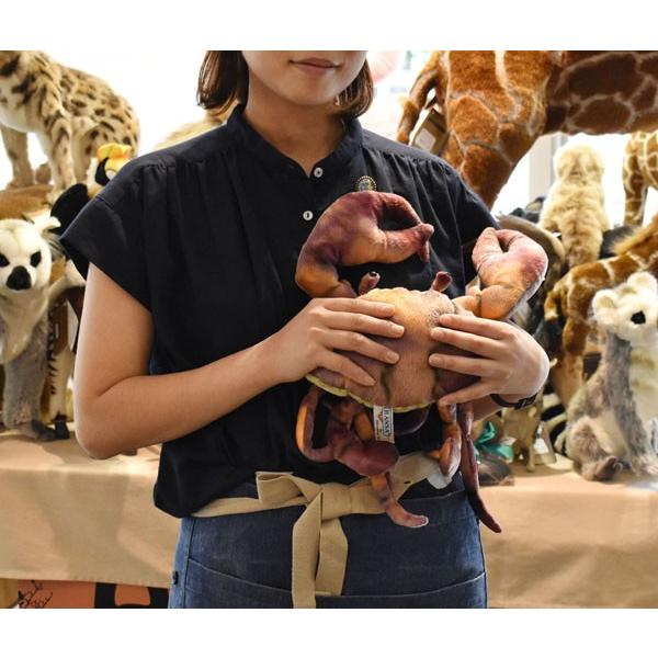 BH6096 マッドクラブ HANSA　まっどくらぶ かに カニ 蟹 ぬいぐるみ リアル 爆買 母の日 | HANSA（ぬいぐるみ） | 06